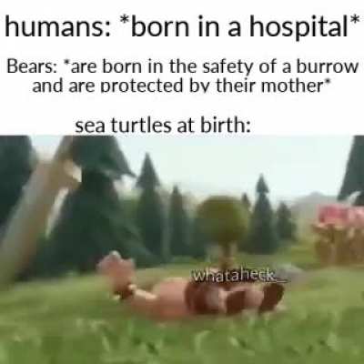 😎👌👌