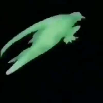 Spinning croc: companion, hurts and confuses enemies with a spin attack, gives extra stat boosts to itself and you if you have sufficient Florida man stat
