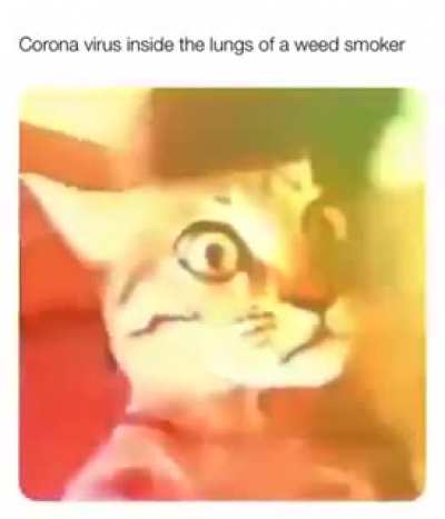 Corona virus OUT