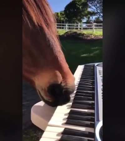 He's so talented