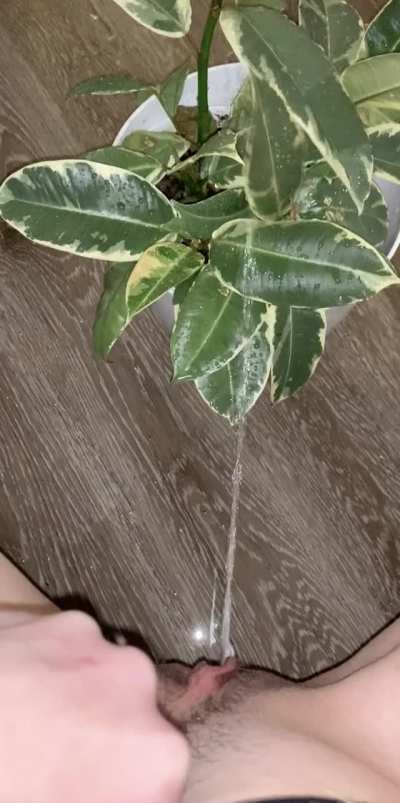 Fuck this plant