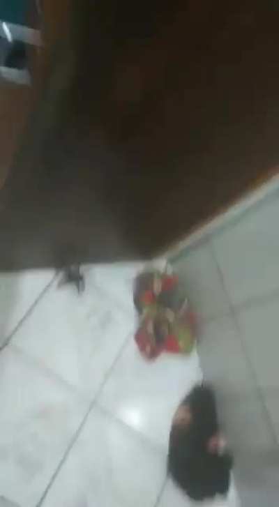 Hey so where is the infinity gauntlet so I can get rid of that spider?