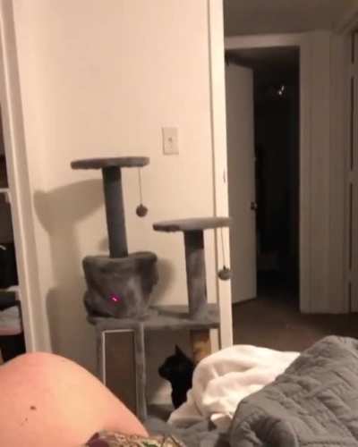 I peaked in terms of laziness last night