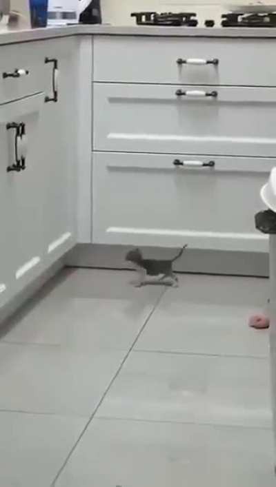 To reach the countertop.