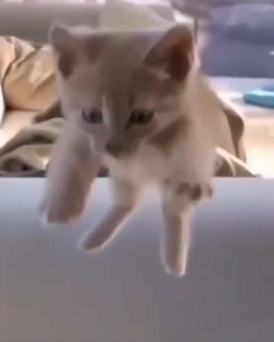 ayyyyy