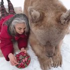 Ну мишка, ну кушает..