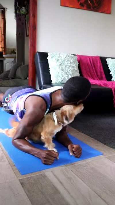 Trying to plank with a dog.
