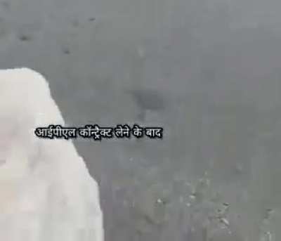 |: TITLE :|