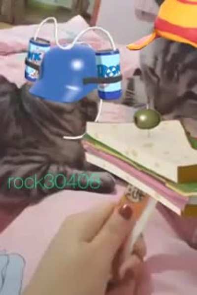 rule (oc)
