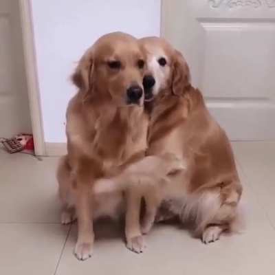 When babe is sad and needs some healing love hugs 🥺❤️❤️