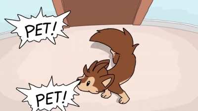 pet_irl