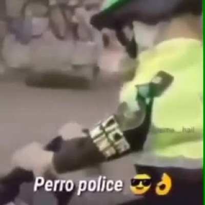 Perro policía