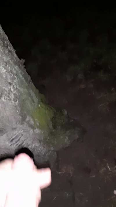 Big outdoor cumshot