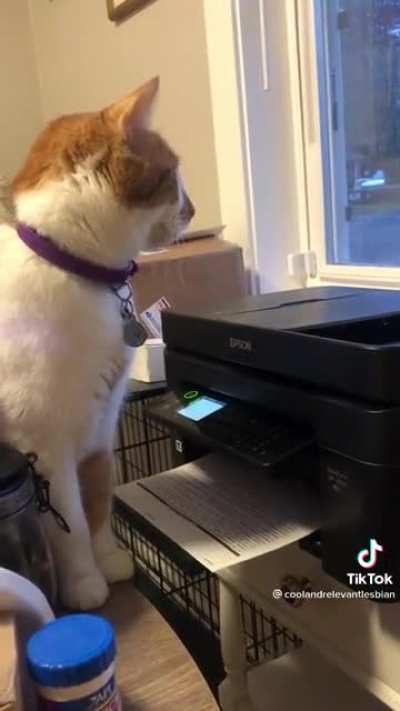 spooked by printer