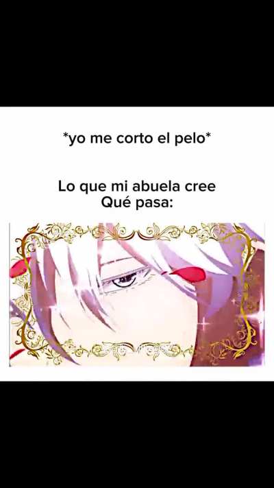 XD 