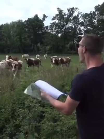 BAAAAAAAA