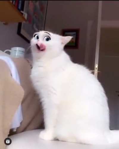 Yamete... Kudasai...