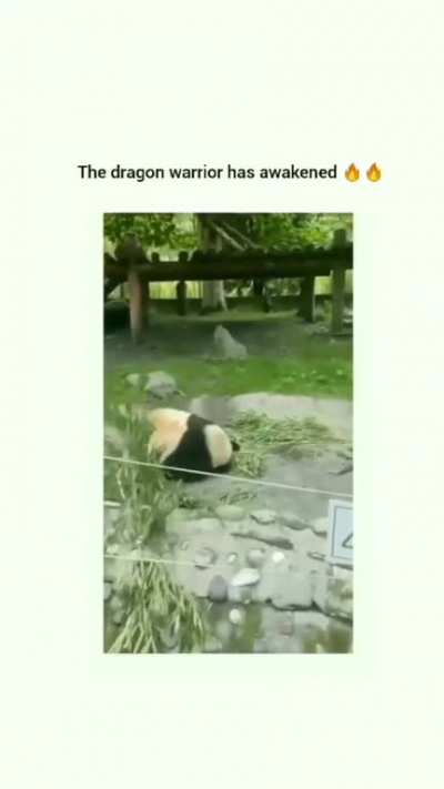 EVERYBODY WAS KUNG FU FIGHTING ☯️