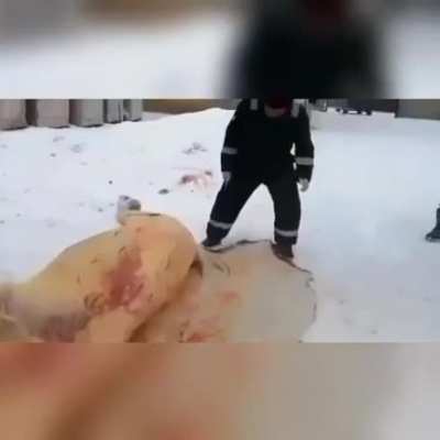 Эх, судьб<wbr>инушк<wbr>а