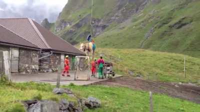 In Switzerland, if a cow gets hurt in a mountain inaccessible by car, it is transported by a helicopter to the nearest road.