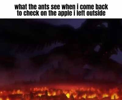 you watch the ants. i eat them. we are not the same