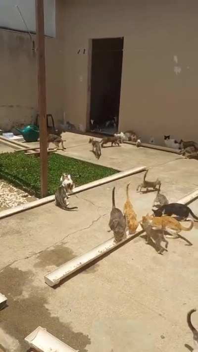 Its Food time