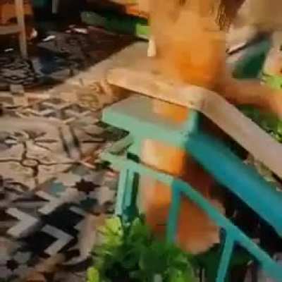 Это фиаско, братан