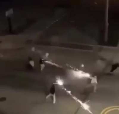 blursed harry potter