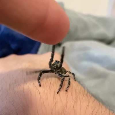 No no no