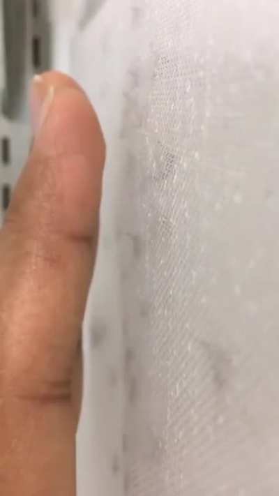 🦟