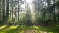 Rainstorm passing through my very PNW backyard