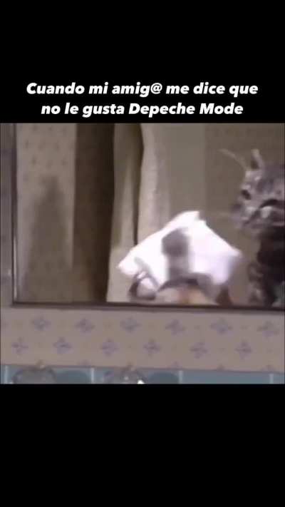 XD
