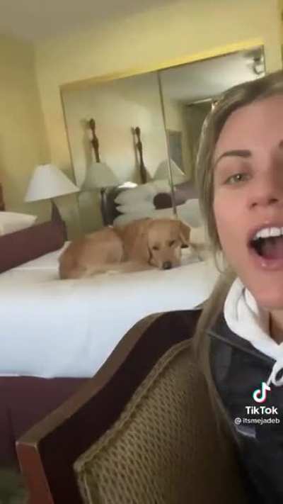 Putting your dog's name in songs