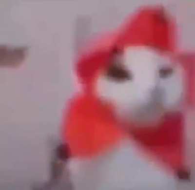 Meme 
