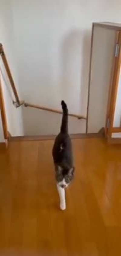 he sings while climbing stairs when he is happy