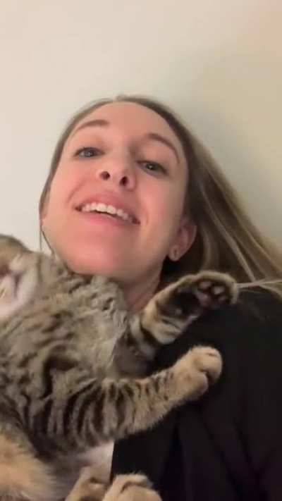 Traded in my personal space for this cute Tabby