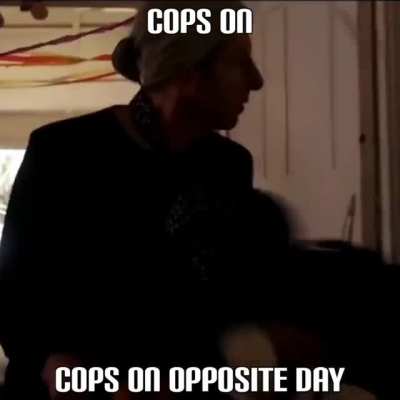 All Cops Are Based