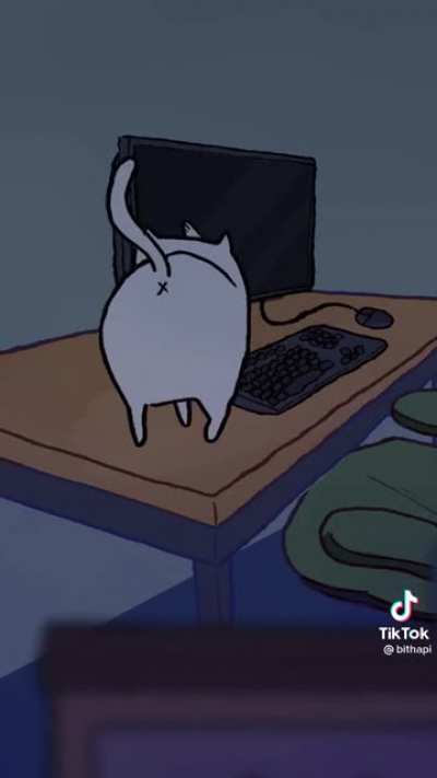 I love my cat