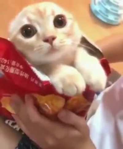 Let me have a quick snack
