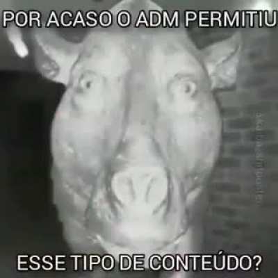 Alguém sabe o link?