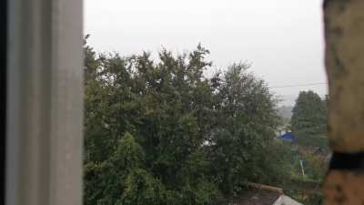Little clip from my kitchen window this morning.