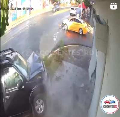 doggo has quick reaction in this truck accident