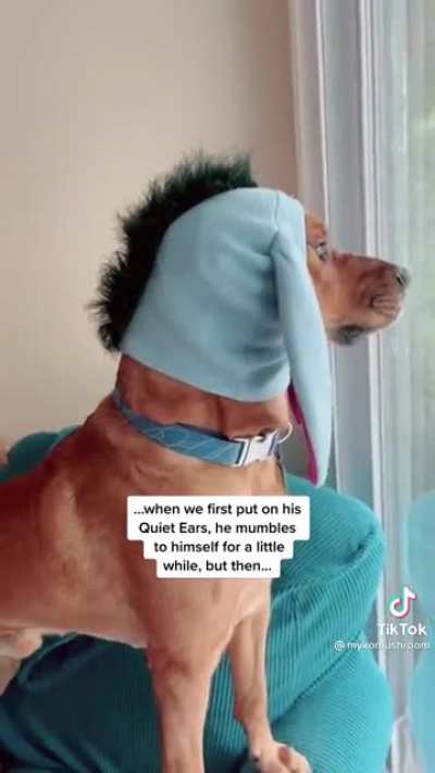 Woof muffler