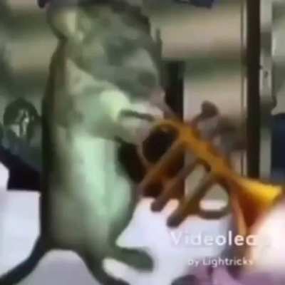 dankvideos - Video #6495
