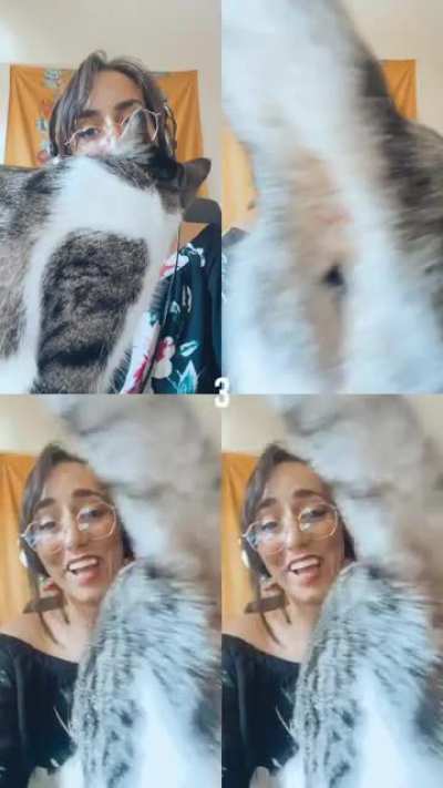 Playing around with filters, when my cat stepped in...
