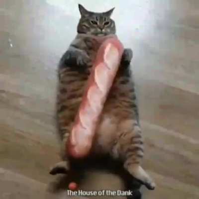 Fofo