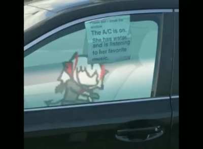 Leaving W in the car while shopping by Wheels