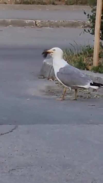 Uh...😦