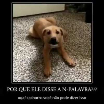 Pode dog racista no grupor Ademir 😳👉👈