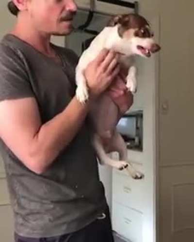 Mister Bubz, calm down!